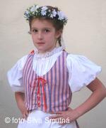 Muzejní spolek Velkobítešska